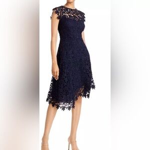 Size 6, Women’s Navy Eliza J Asymmetric Lace Dress